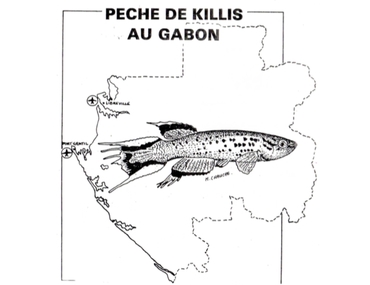 Pêche de killis au Gabon