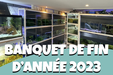 Banquet de fin d'année