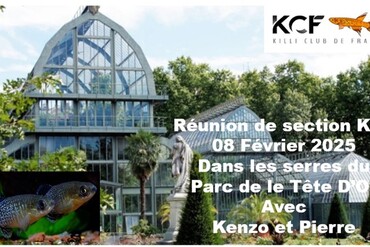Serres du Jardin Botanique de LYON