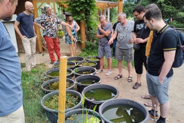 Réunion d'été dans les Vosges.