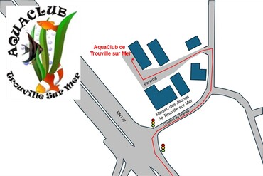 Réunion de Section