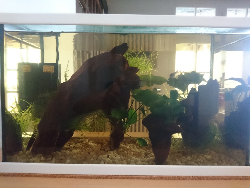 Aquarium