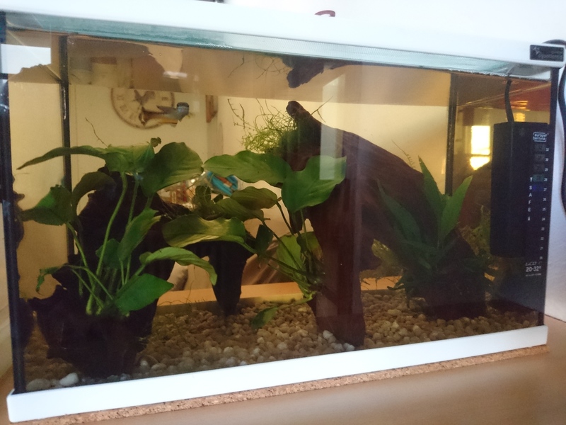 Aquarium