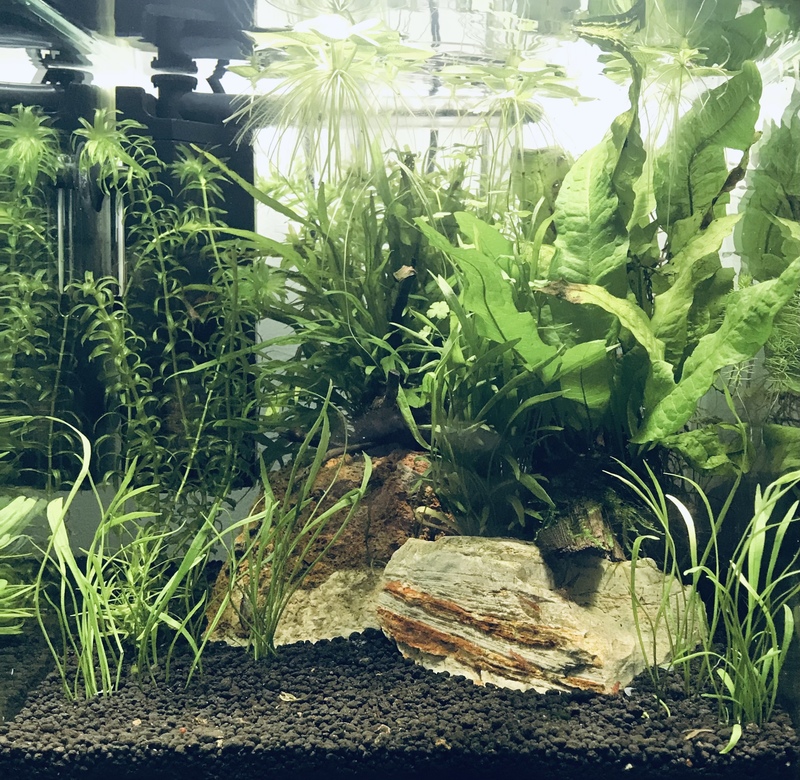 Nano 20L