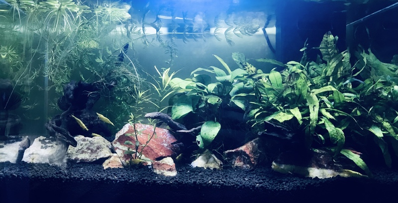 Nano 17L