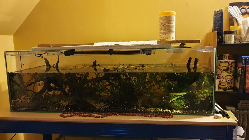 Tartarium80