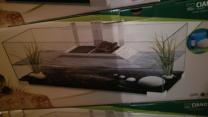 plage amovibles sur Tartarium 40,60,80