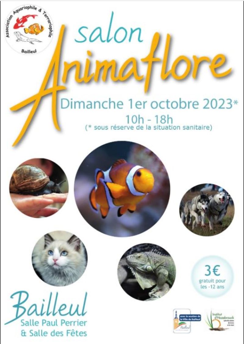 affiche