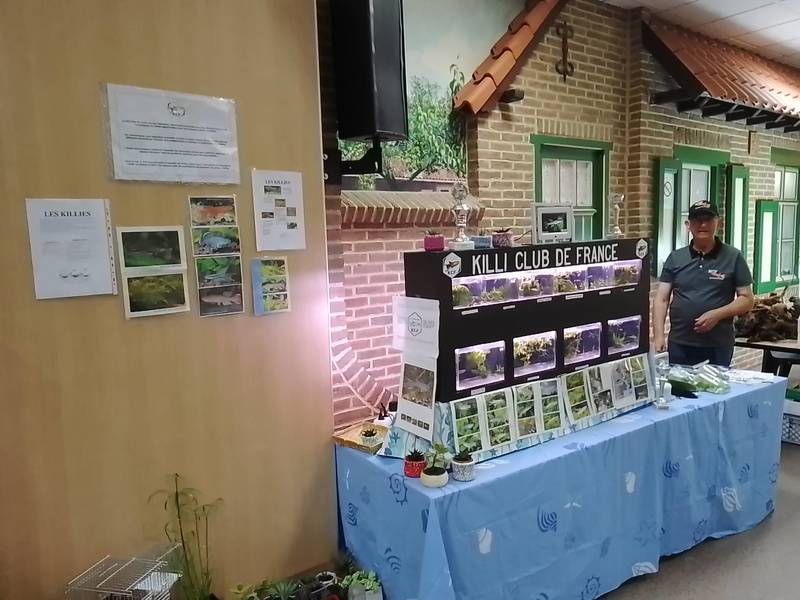 stand 2023 de Jean pour présentation du KCF
