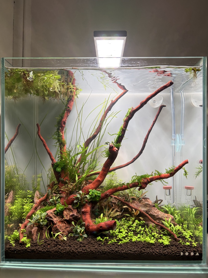 Vue aquarium