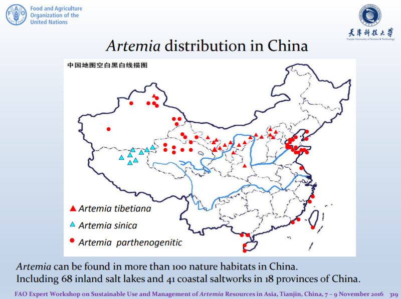 Les souches d’artemias en Chine
