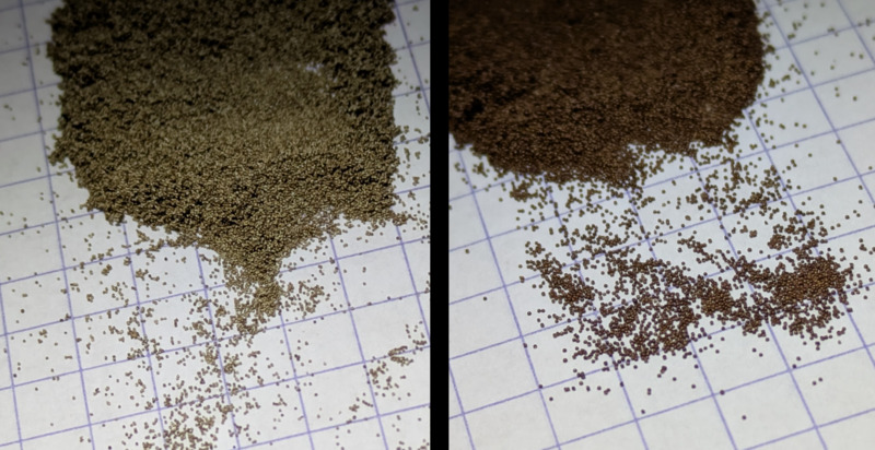 les 2 types d'oeufs
