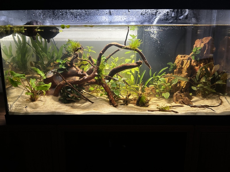 Aquarium J+9