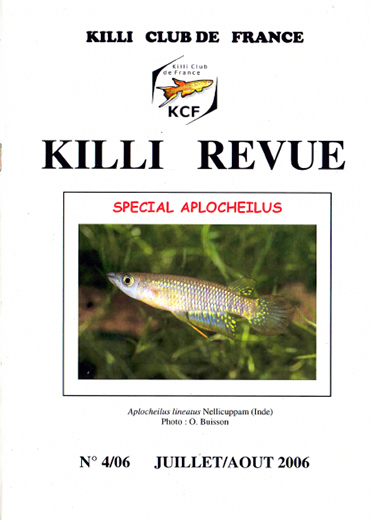KR 4/2006