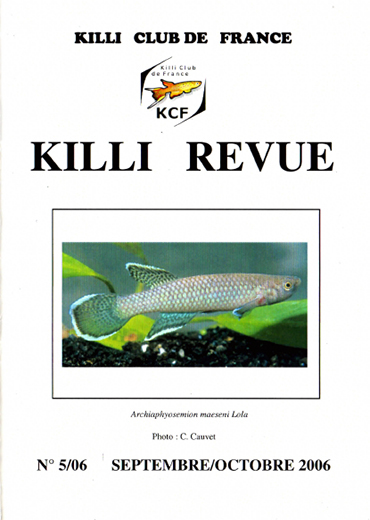 KR 5/2006