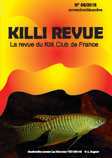 KR 6/2018