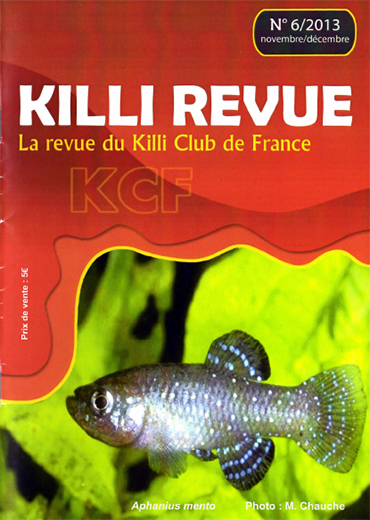 KR 6/2013