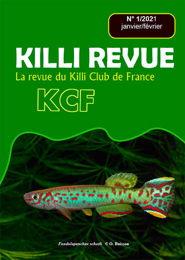 KR 5/2021